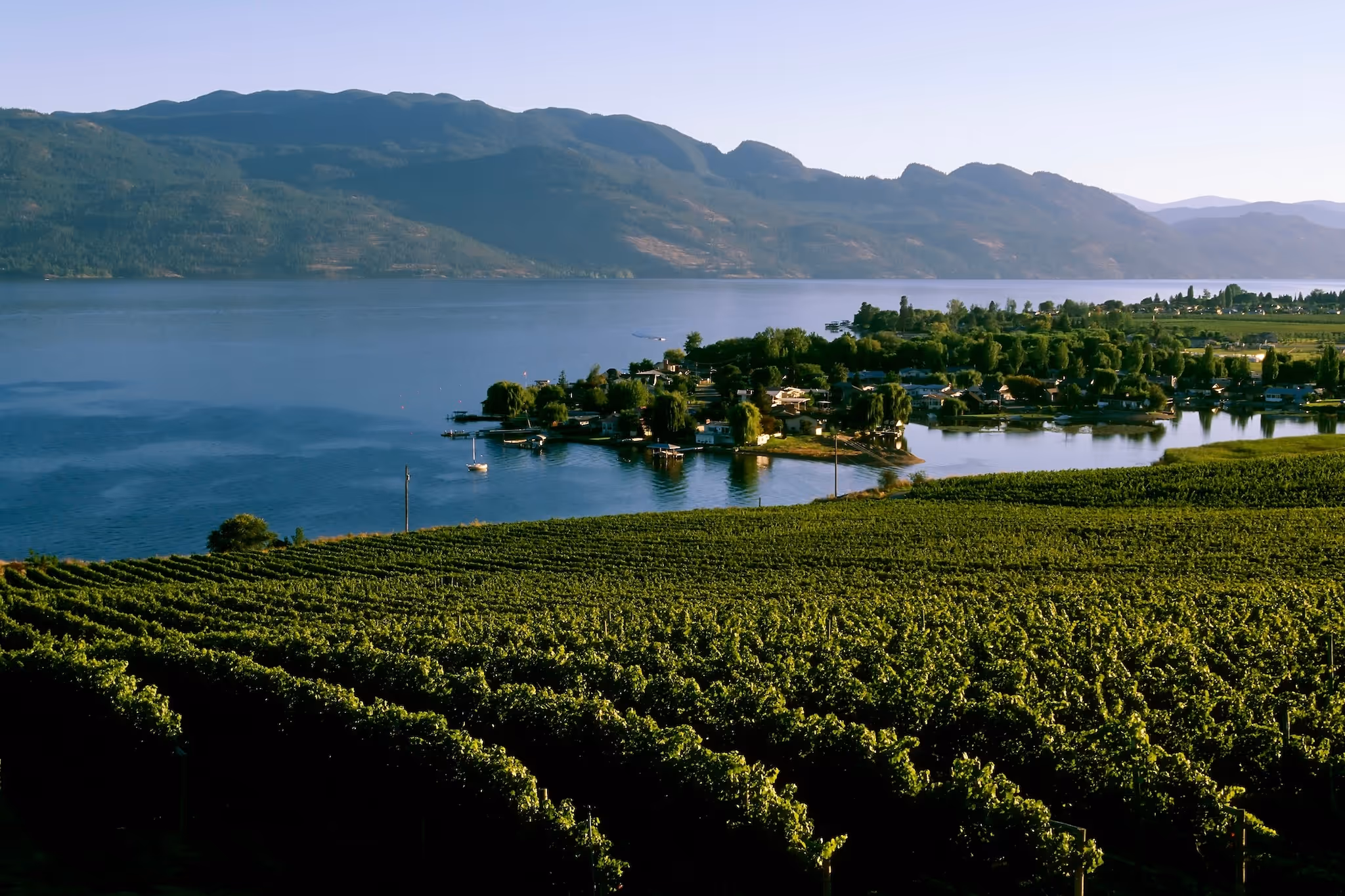 A B.C. city was just named among the best in the world for food