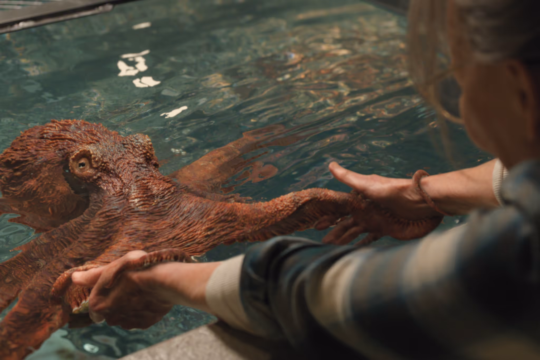 Vancouver Aquarium's giant Pacific octopus stars in new Netflix film