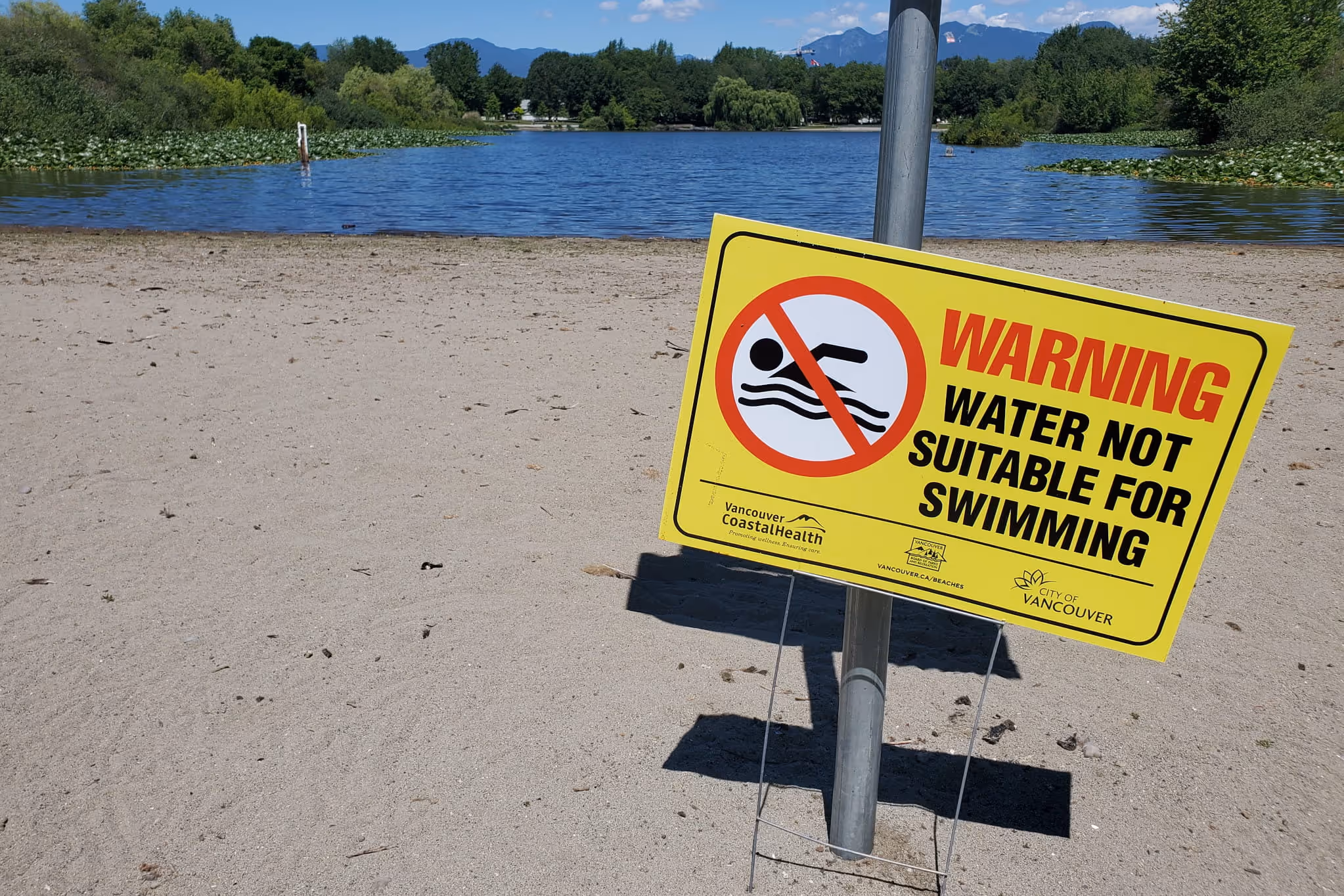More Vancouver beaches close for swimming as E. coli levels see massive spike