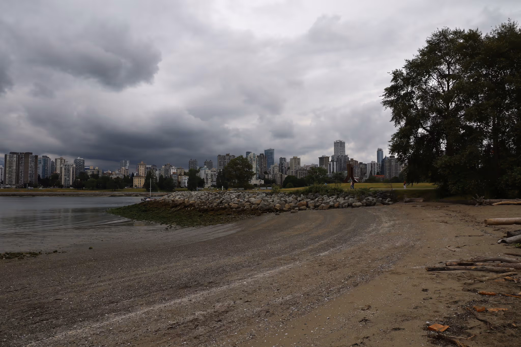 Thunderstorms in Vancouver forecast as 'Juneuary' rain creeps in