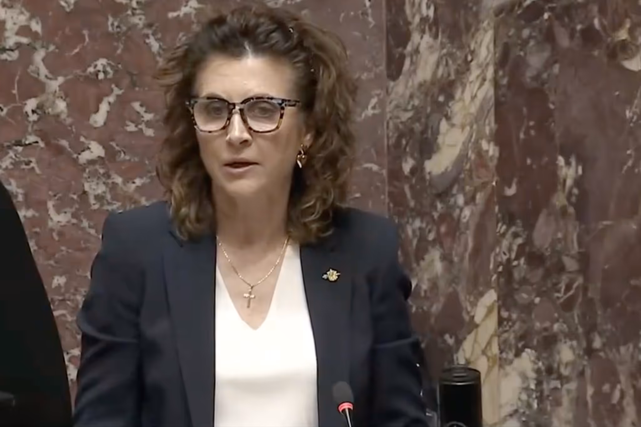 Controversial Vancouver politician Dallas Brodie could lose her seat as recall petition is issued