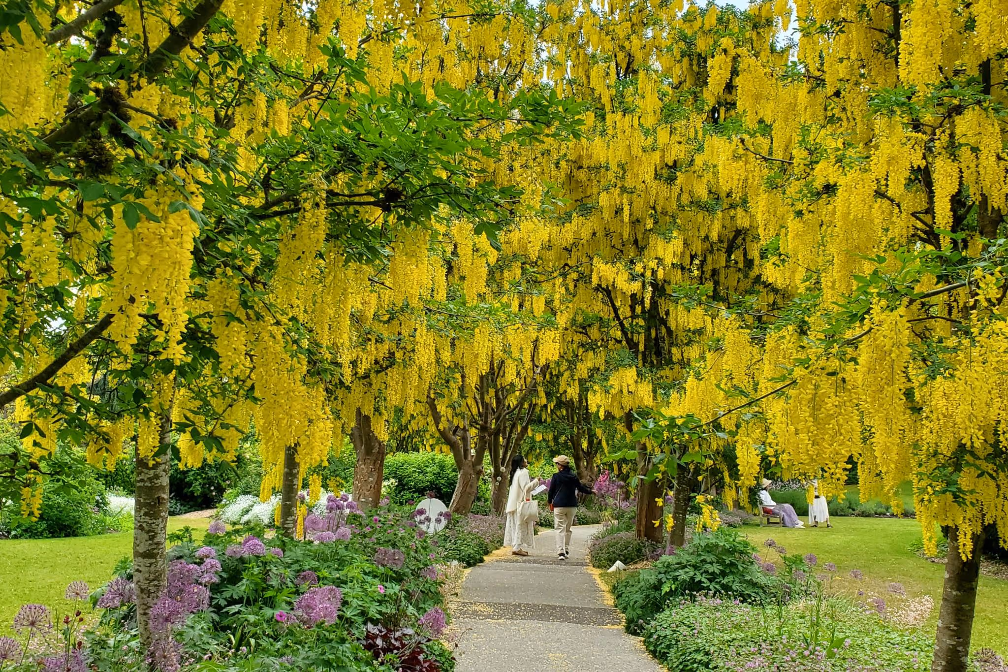How to have the perfect nature-filled day out in Vancouver without leaving the city