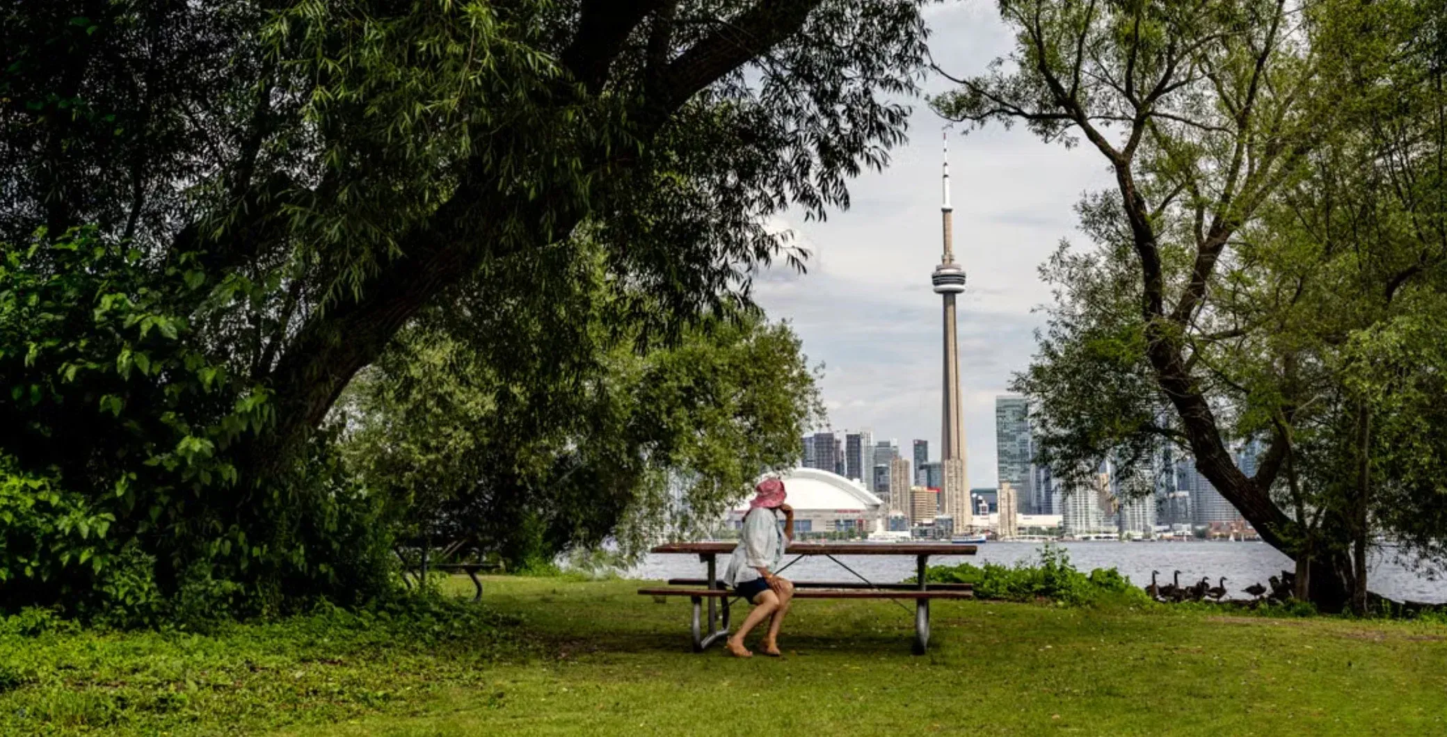 Toronto summer forecast: Environment Canada warns of hot, humid season with high-risk heat waves