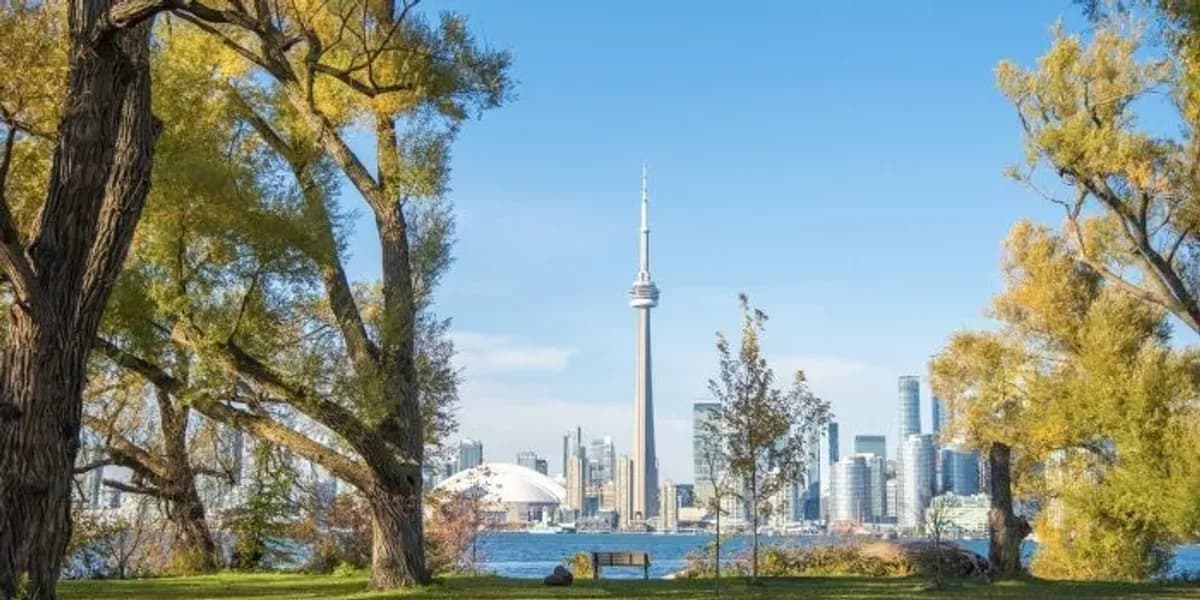 'There's Nothing To Wait For Anymore': What's Driving Toronto's Summer Market