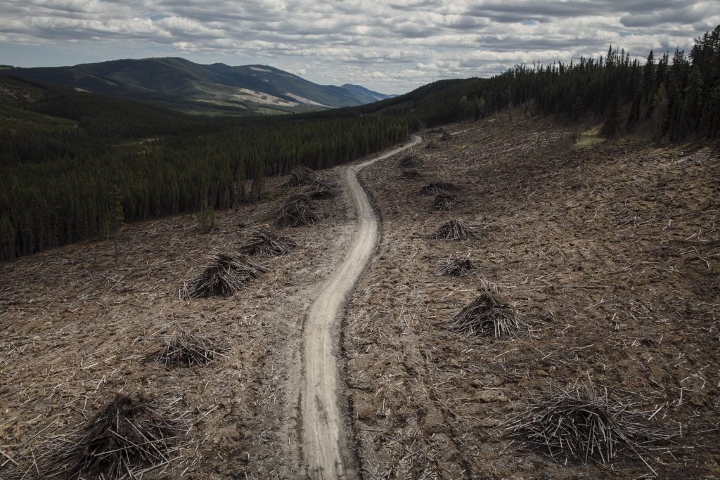 What, exactly, is happening with coal mining in Alberta?