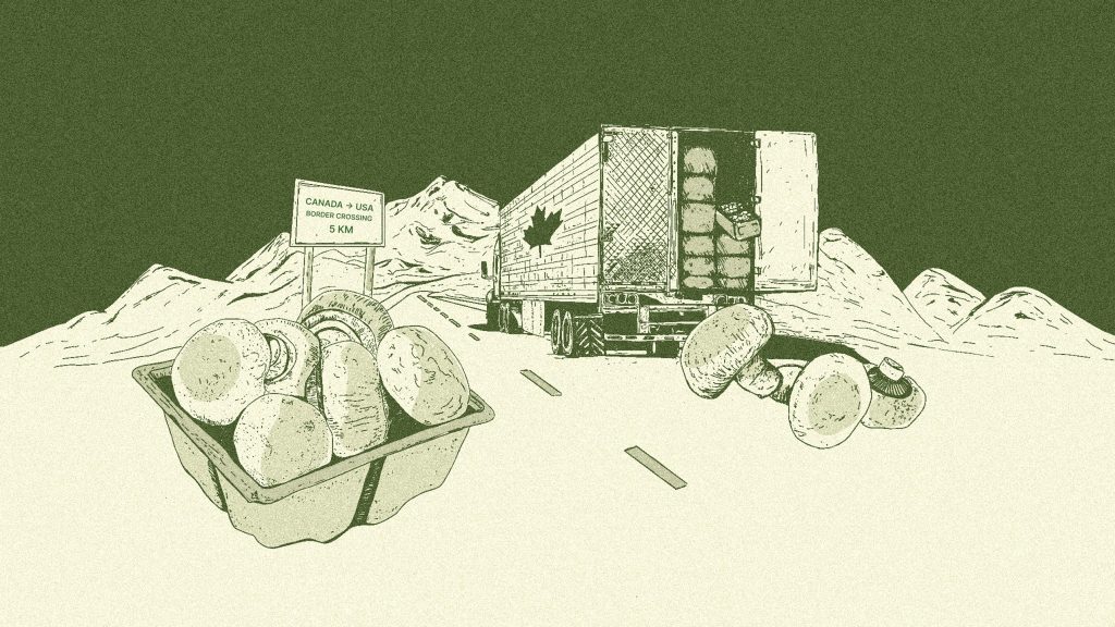Are B.C. mushrooms unfairly subsidized? U.S. growers think so