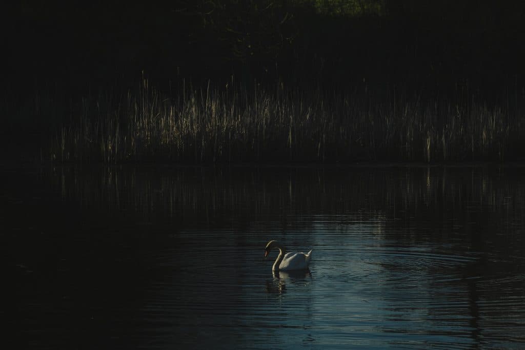 Ontario clamps down on conservation authorities as consolidation planning continues