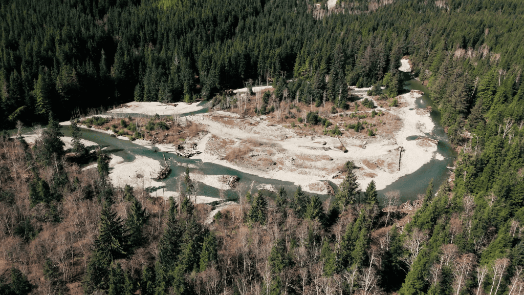 Near Tofino, a push for gold is colliding with efforts to protect a rare coastal ecosystem