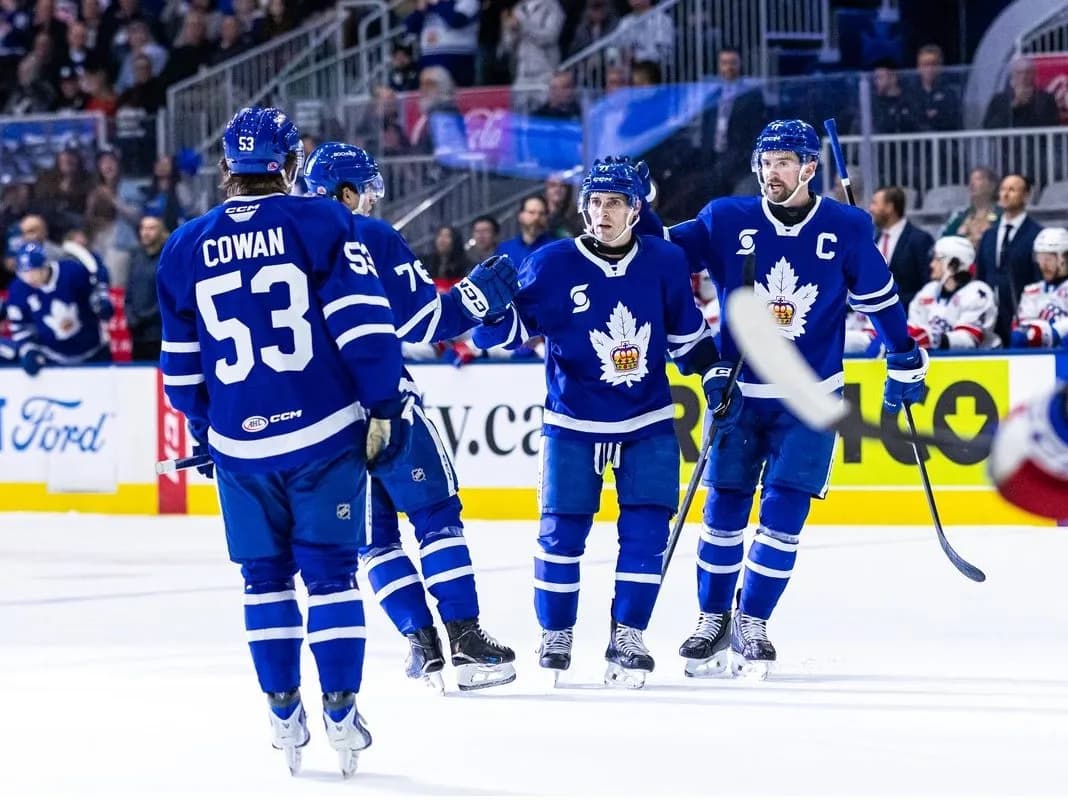 Grading the Toronto Marlies - Chicago Wolves Calder Cup final