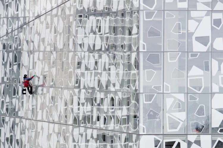 Toronto is a Global Leader in Bird-Friendly Design