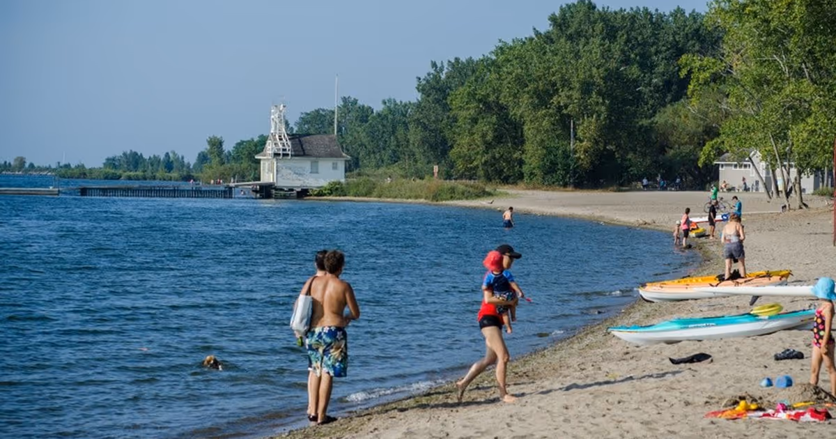 Multiple Toronto beaches deemed unsafe for swimming