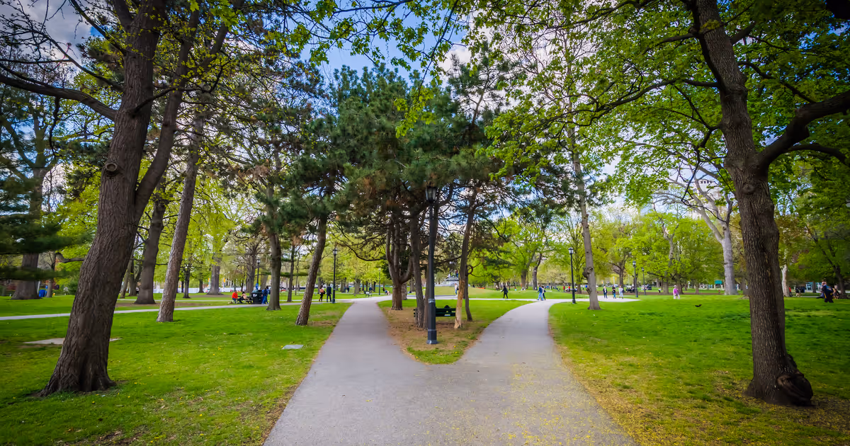 Toronto scales back controversial park redesign after backlash