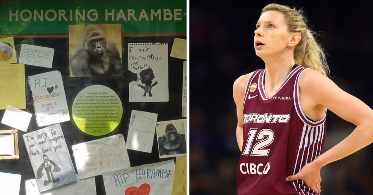 Waived Toronto Tempo player has an incredible connection to Harambe
