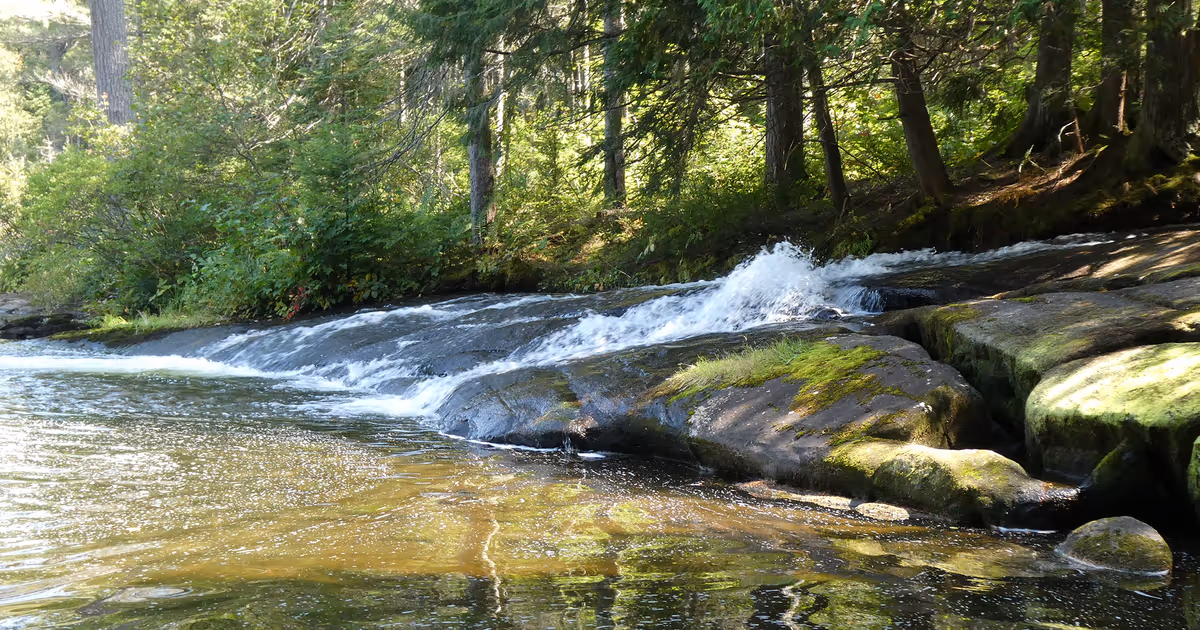 Ontario's oldest park is home to a thrilling natural waterslide