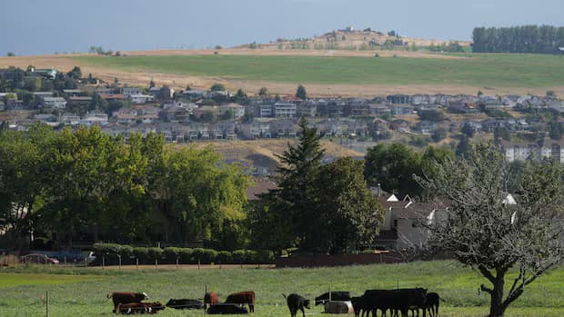 B.C. community reports high demand for rural permanent residency program