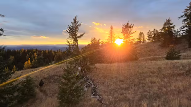 B.C. court to allow Rossland magnesium mine to proceed without environmental assessment