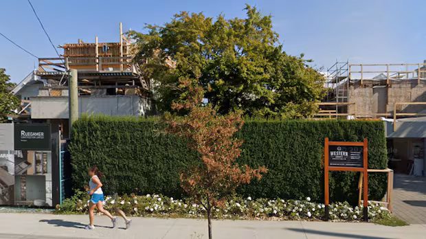 Vancouver mansion owners sue neighbours over hedge removal
