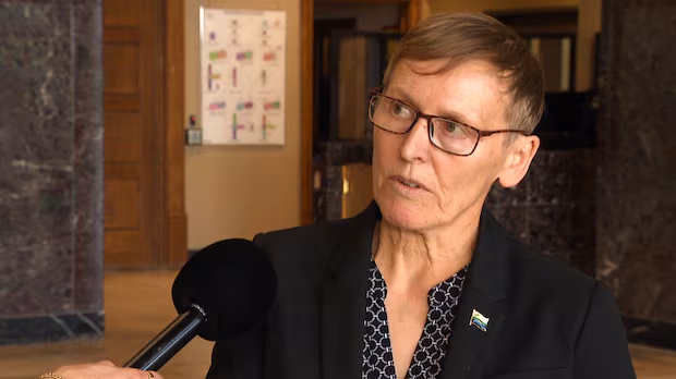 N.L. health minister suggests residents 'sue the government,' 'sue me' if medical transport delays persist