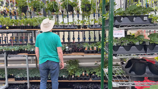 Canada's updated its plant hardiness map — and growers are seeing their options bloom