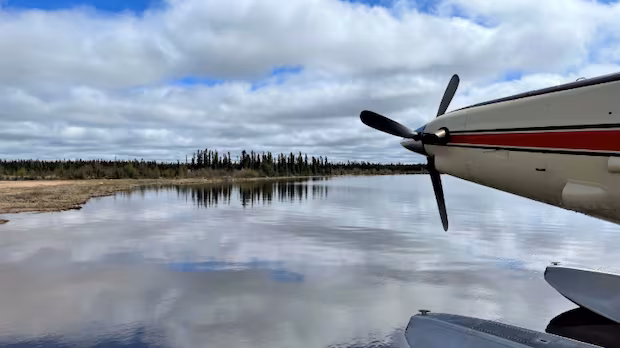Man, 25, dies after bear encounter in northern Saskatchewan