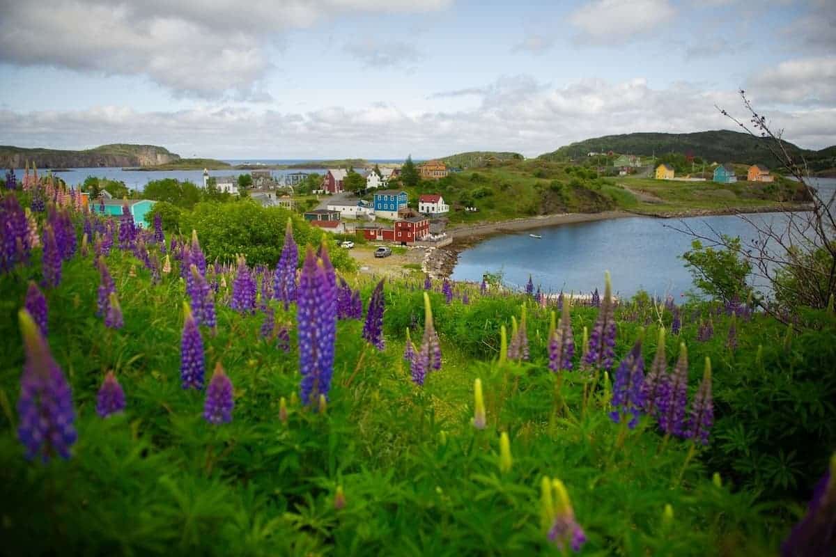 Newfoundland and Labrador’s second May draw sees over 180+ candidates invited
