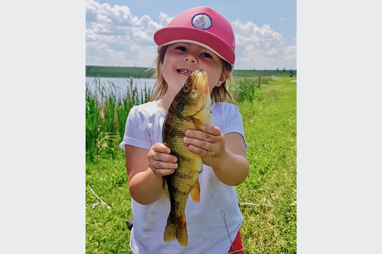 An homage to Canada’s beloved yellow perch and the joys of simple fishing