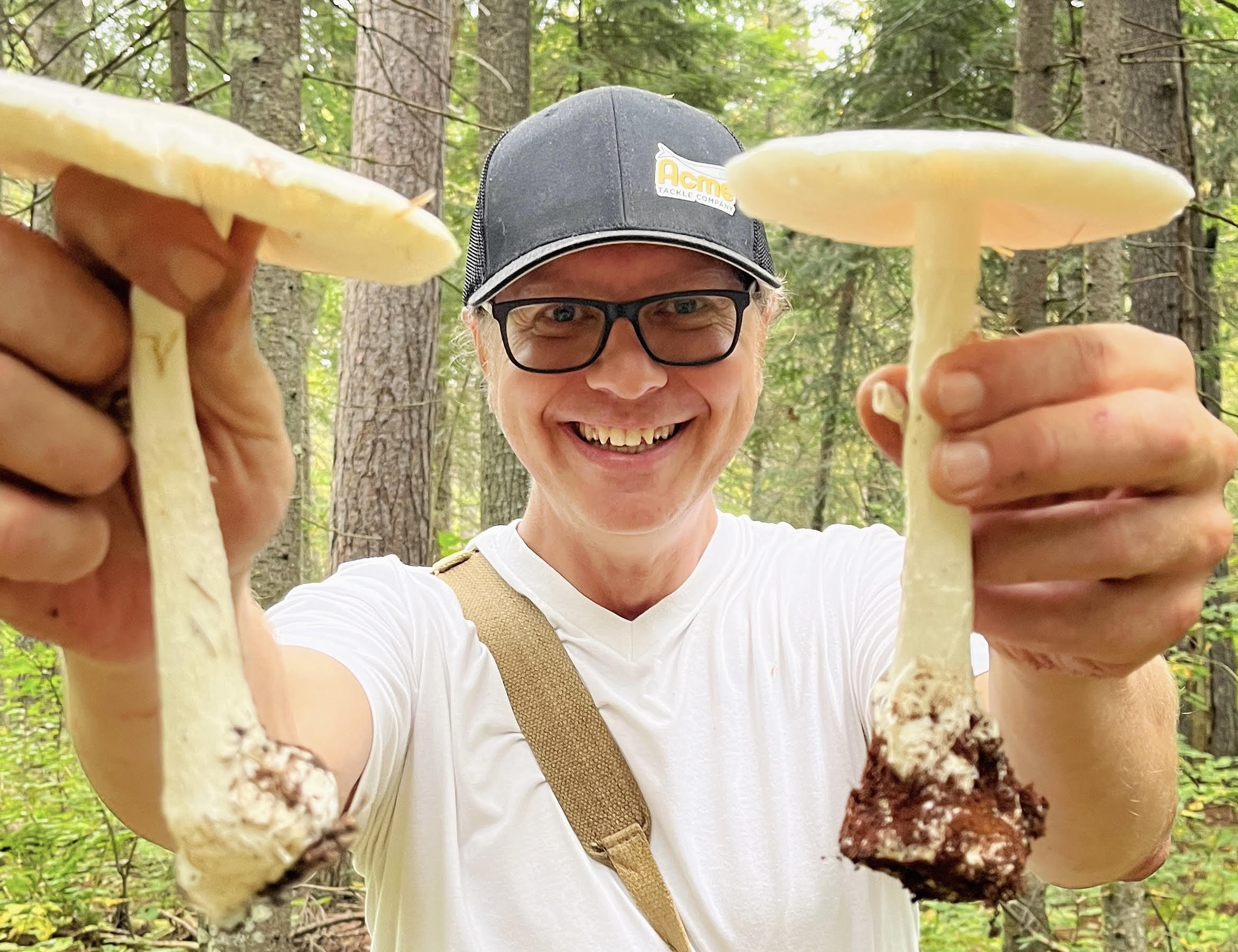 Hunting for mushrooms? Follow these 4 essential safety rules
