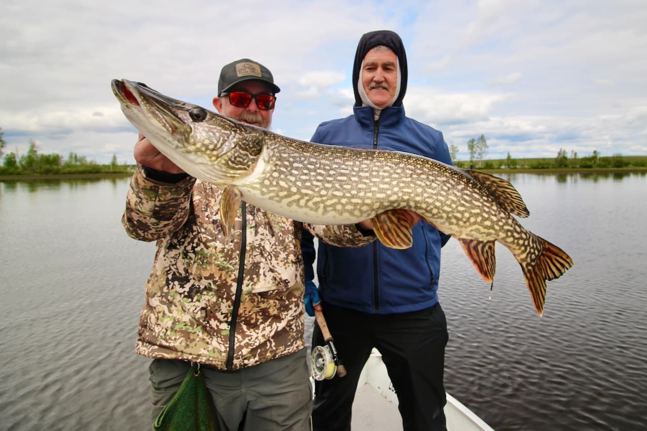 Pike activity changes during the day. Here’s when to catch the biggest spring northerns