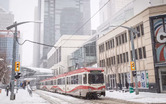 阿尔伯塔省春季降雪预报，卡尔加里难逃冬季天气