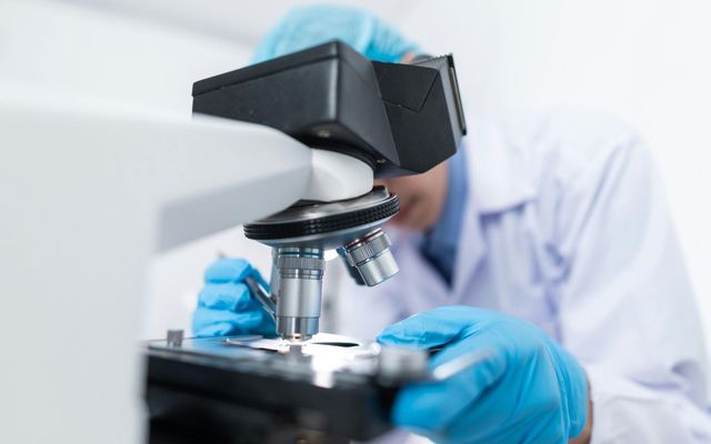 Biossil hits unicorn status with new OpenAI-led financing