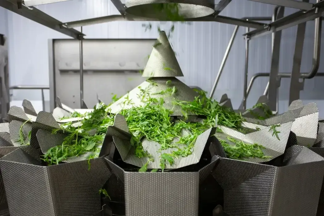 Canada invests $50 million into Canadian Food Innovation Network