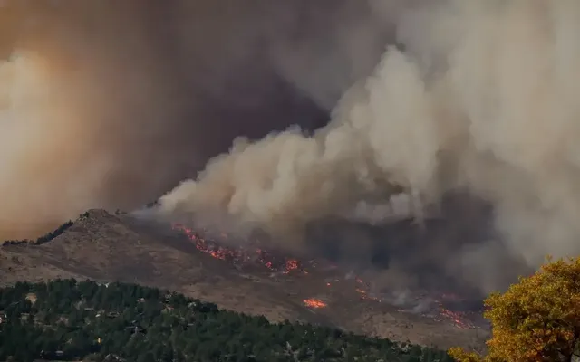 Mila, federal researchers develop AI tool to better predict wildfire behaviour