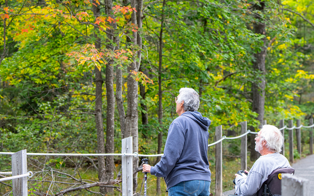 Accessible locations to view fall colours