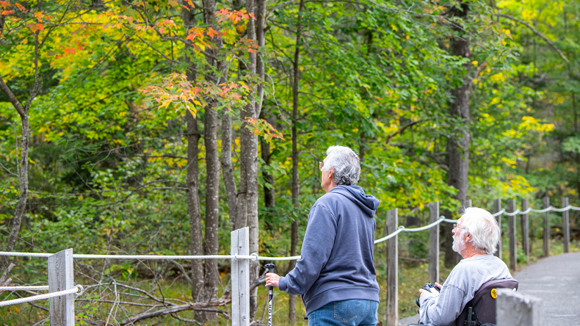 Accessible locations to view fall colours