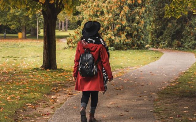 The best fall day trips (if you live in Toronto)