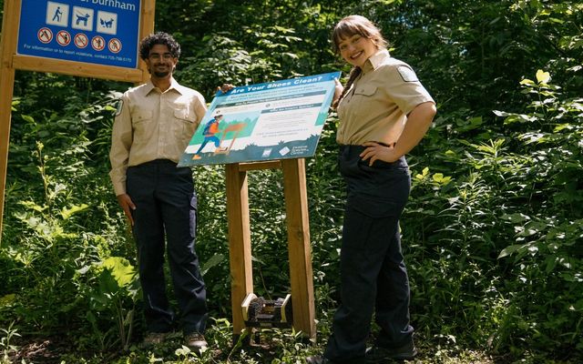 Help us give invasive species the boot (brush)!