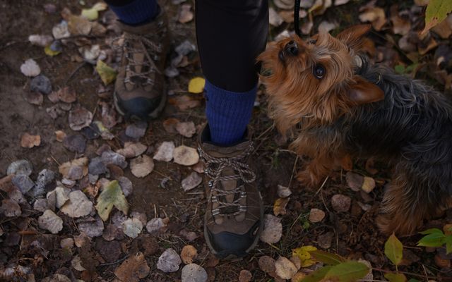 Hiking the trails with your dog