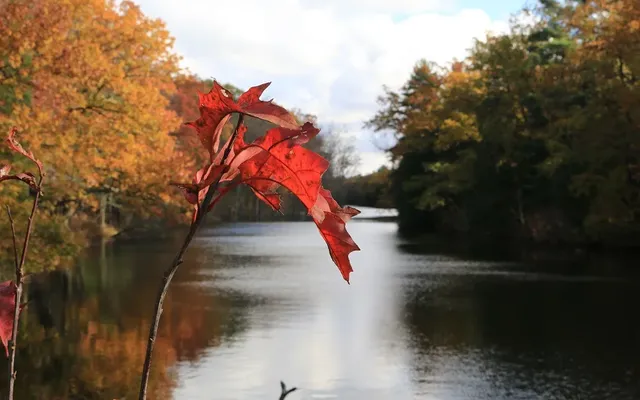Embracing the beauty of late fall