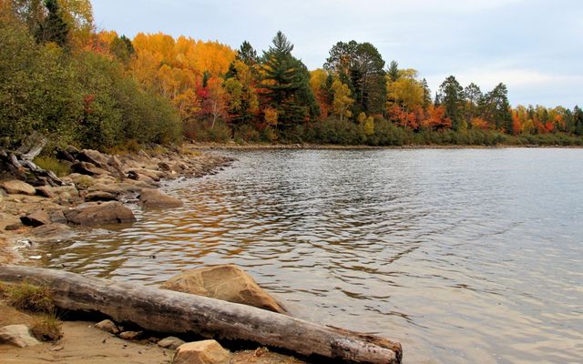 Fall colours at Algonquin Provincial Park