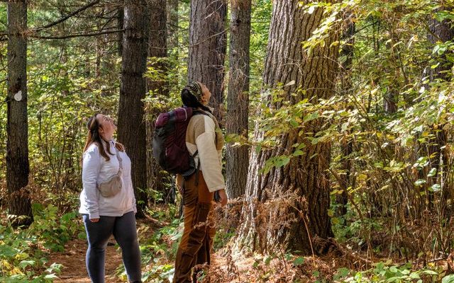 4 top tips for fall hiking adventures