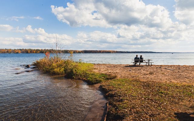 Haunted habitats: exploring the spooky side of wildlife at Balsam Lake Provincial Park