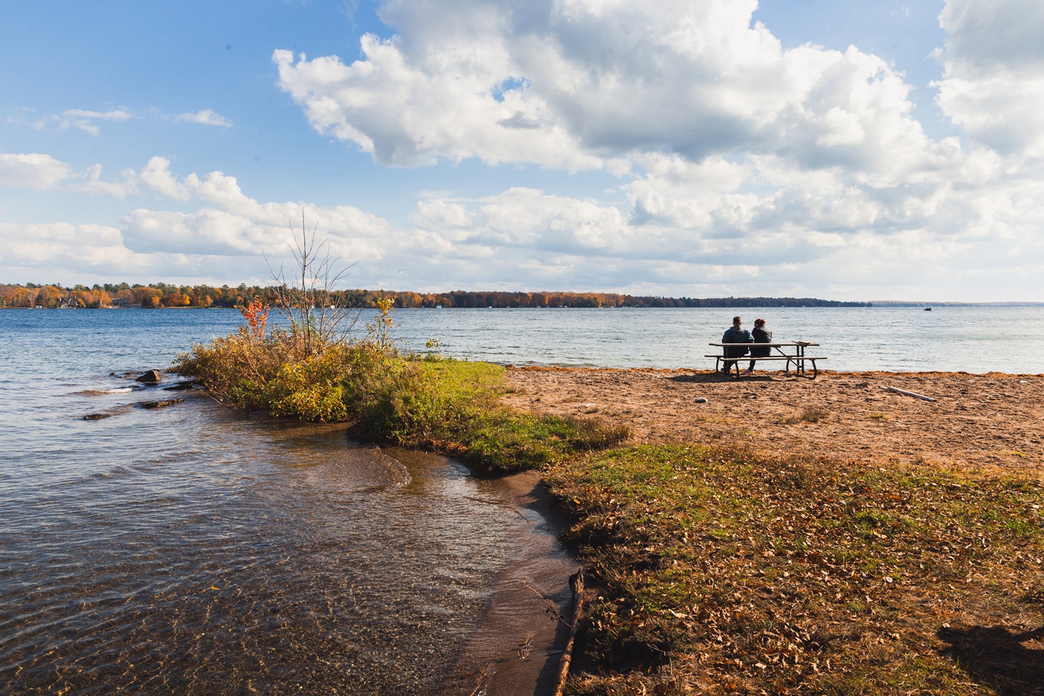 Haunted habitats: exploring the spooky side of wildlife at Balsam Lake Provincial Park
