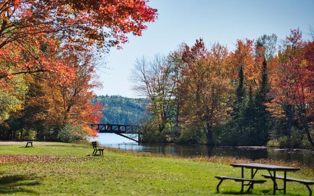 How to plan your fall trip to Bon Echo