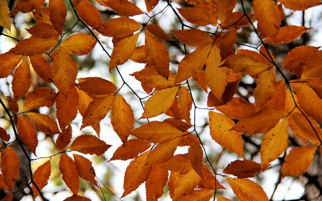 Perfect parks for your late fall camping trip
