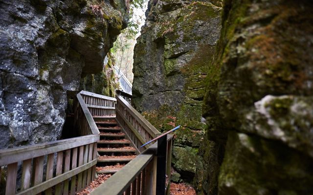 How to plan your day trip to Mono Cliffs
