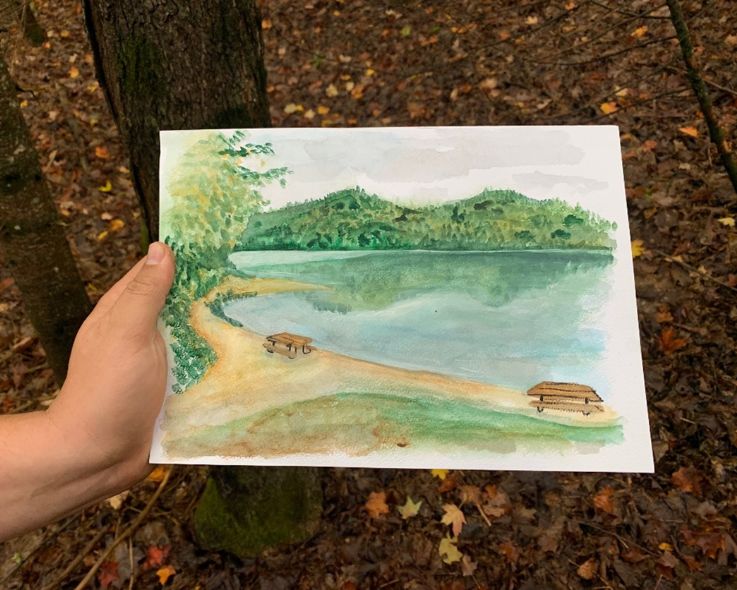 Painting the picturesque: a guide to art in nature