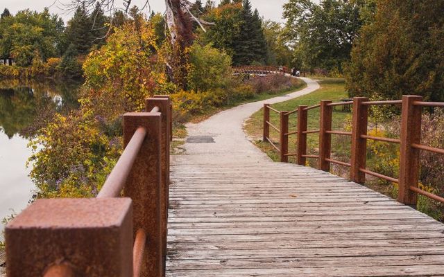 Fall hiking gems in Ontario’s southwest