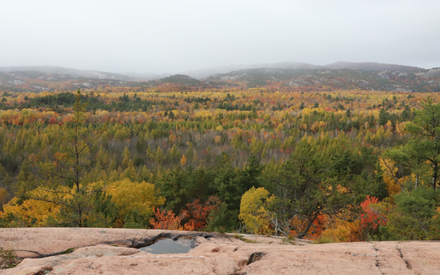 Sudbury rocks for fall hiking!