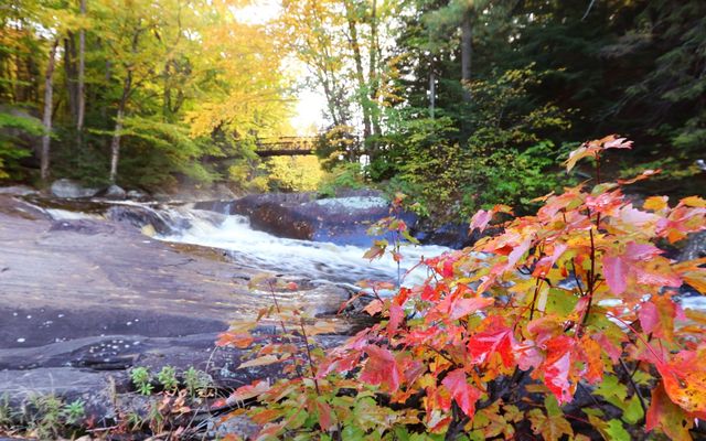 5 reasons to make a midweek visit to Arrowhead Provincial Park this fall