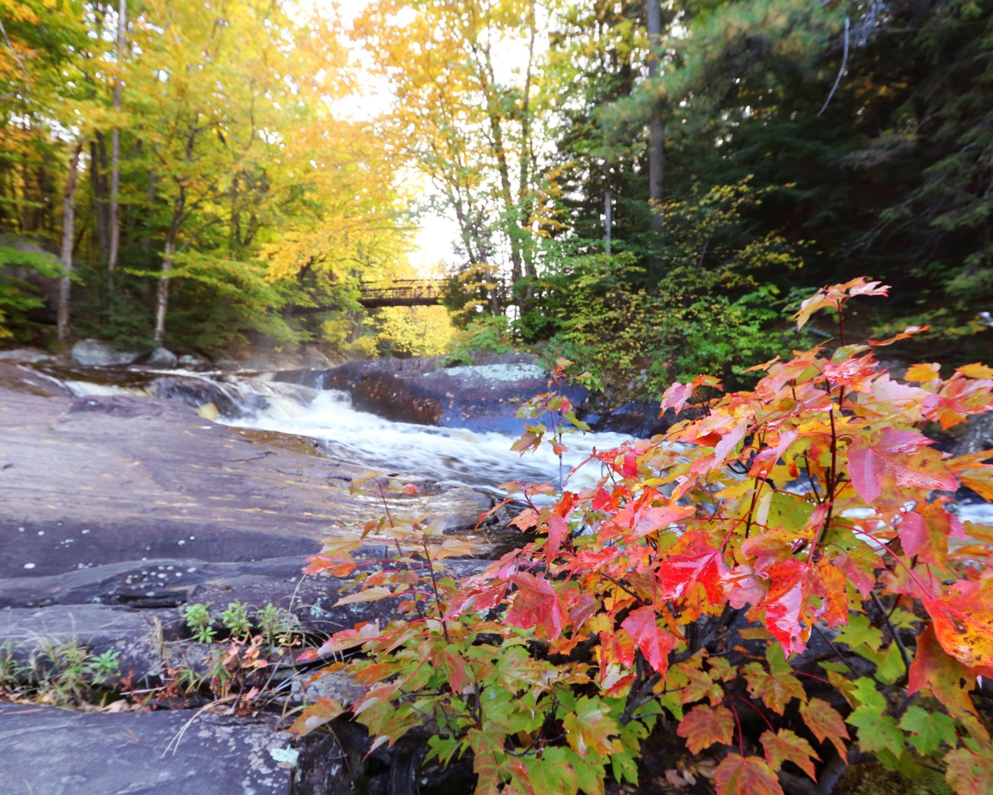 5 reasons to make a midweek visit to Arrowhead Provincial Park this fall